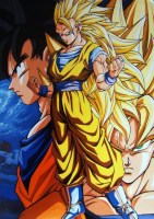 Dragon_Ball______57ce45f14a181.jpg